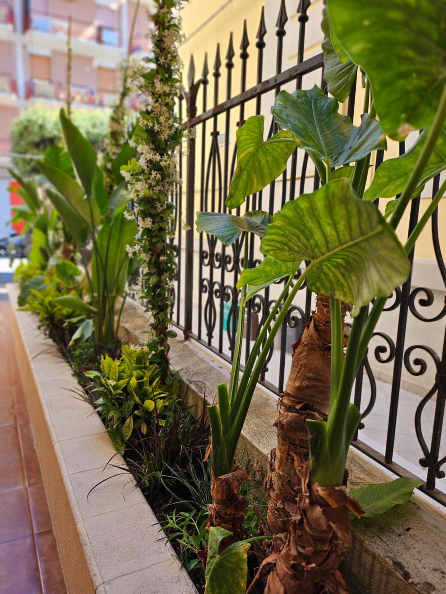 Suebi Rooms แตร์โมลิ ภายนอก รูปภาพ